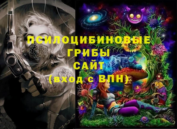 apvp Армянск