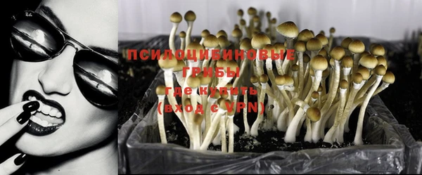 МДПВ Аркадак