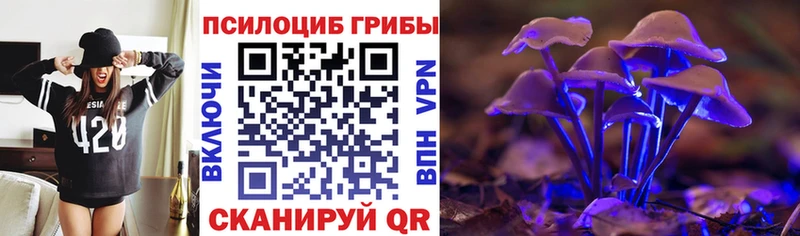 Галлюциногенные грибы GOLDEN TEACHER  где можно купить   мега рабочий сайт  Волгодонск 